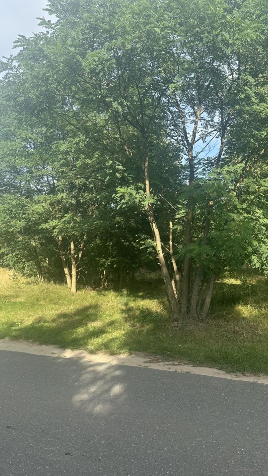 Działka rolno-budowlana Dębniak, ul. Wiśniowa. Zdjęcie 7