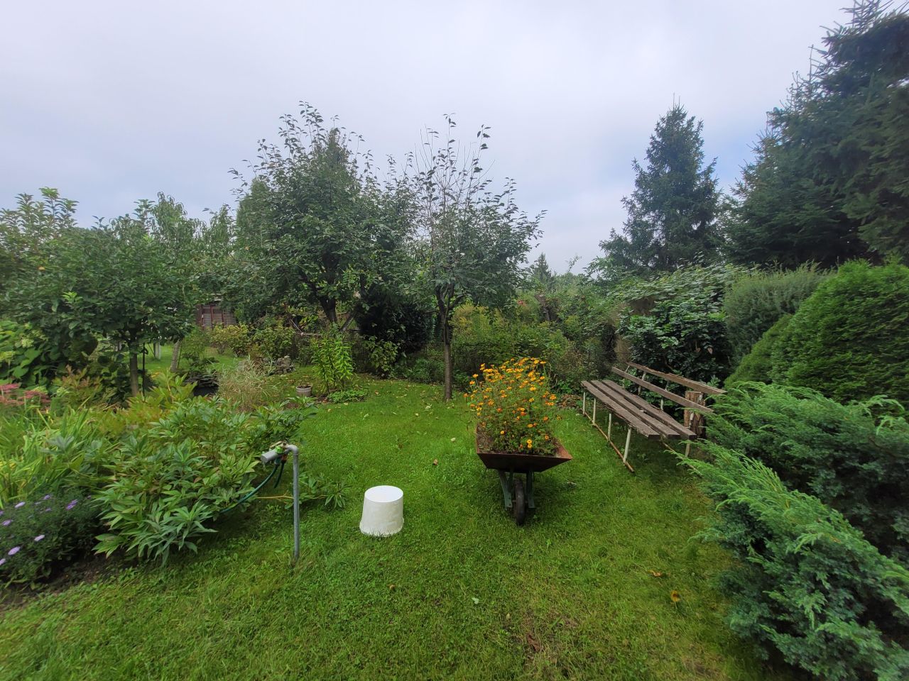 Działka rod Wrocław, ul. Strachowicka. Zdjęcie 5