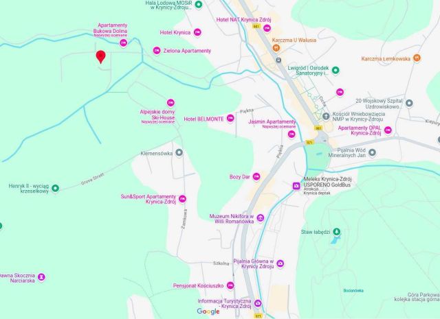 dom wolnostojący, 6 pokoi Krynica-Zdrój. Zdjęcie 1