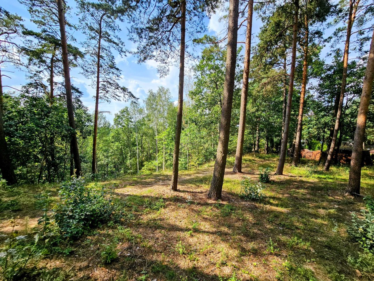 Działka budowlana Kiełpiny. Zdjęcie 6