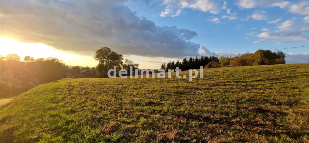 Działka budowlana Srogów Dolny