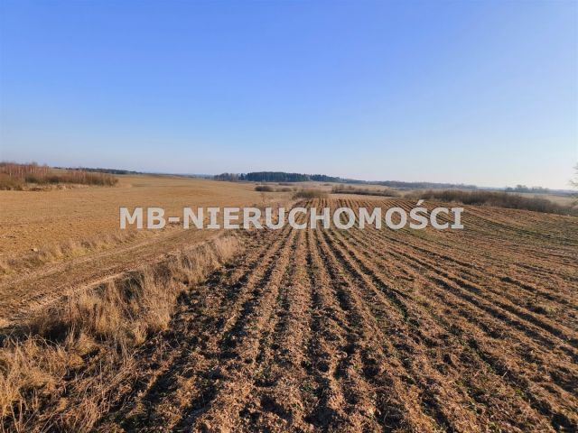 Działka rolna Grabnik. Zdjęcie 3