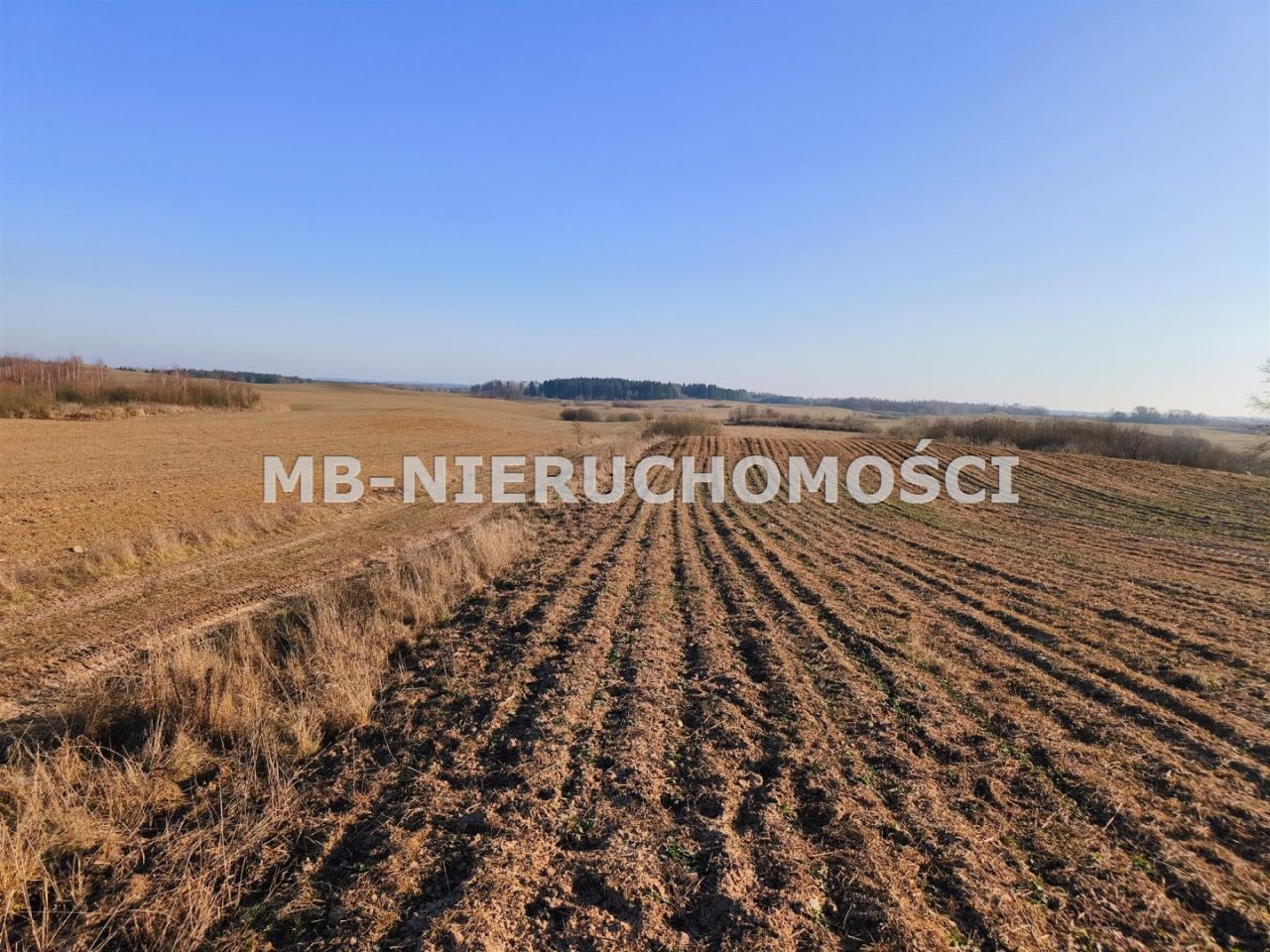 Działka rolna Grabnik. Zdjęcie 3
