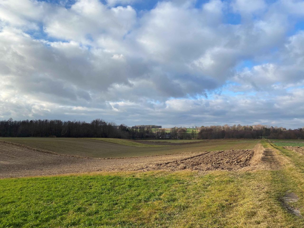 Działka rolna Tuszów. Zdjęcie 7