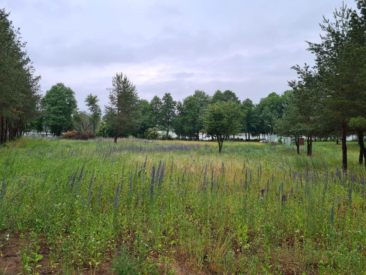 Działka inwestycyjna Wieliczki, ul. Letniskowa. Zdjęcie 7