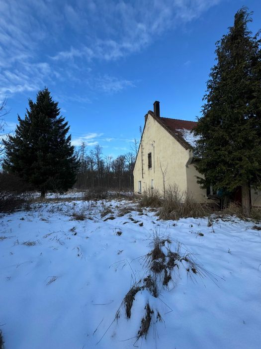 dom wolnostojący, 2 pokoje Dobroszyce. Zdjęcie 8