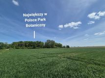 Działka inwestycyjna Imielno. Zdjęcie 1