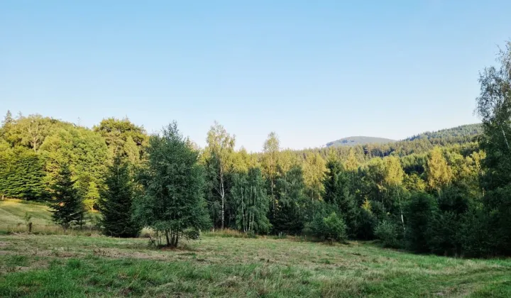 Działka rolno-budowlana Szarocin