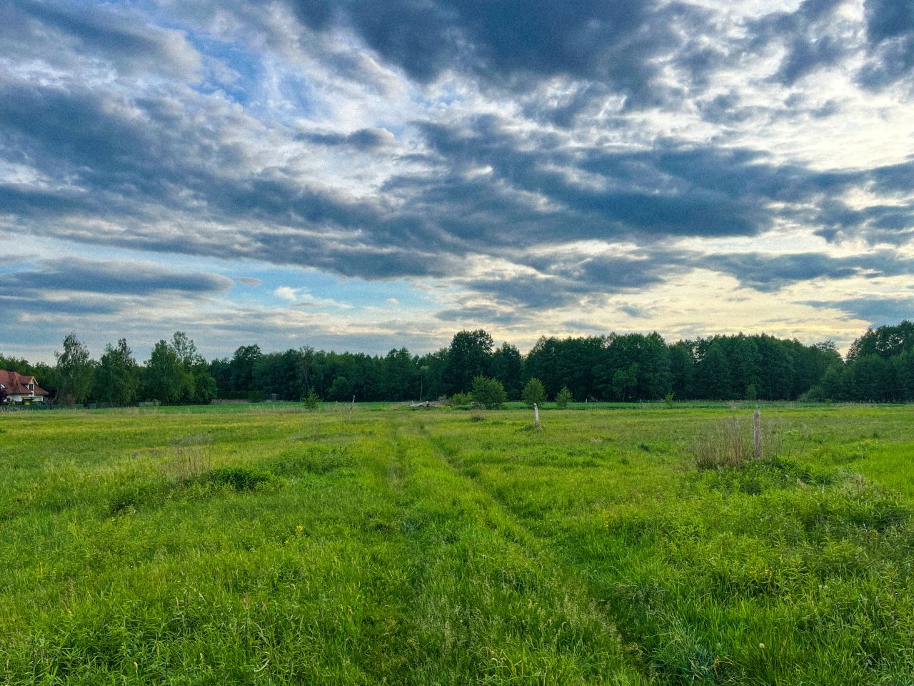 Działka budowlana Lucień. Zdjęcie 5