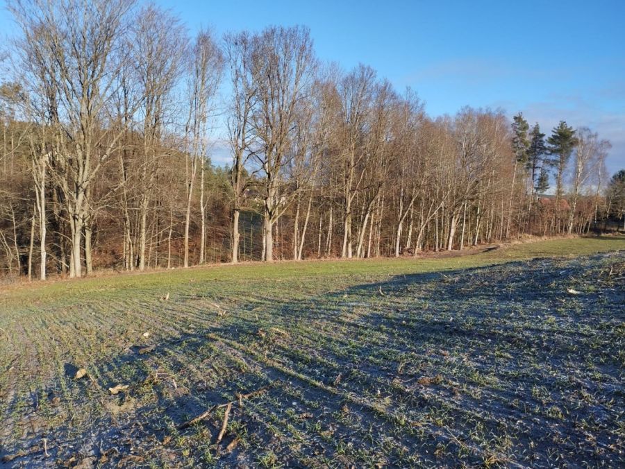 Działka budowlana Parchowo Karłowo. Zdjęcie 10