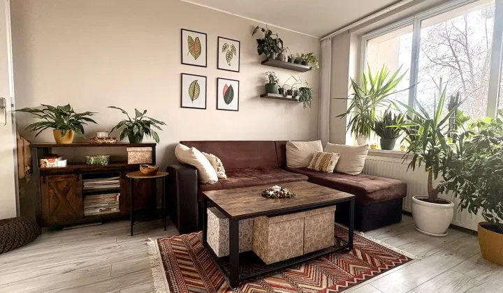 Mieszkanie 2-pokojowe Opole Śródmieście, ul. Armii Krajowej