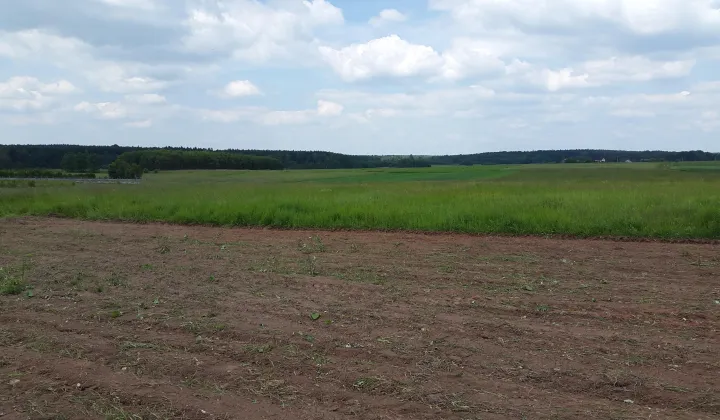 Działka rolno-budowlana Zabijak Wilczy Krzak, ul. Wiatrakowa