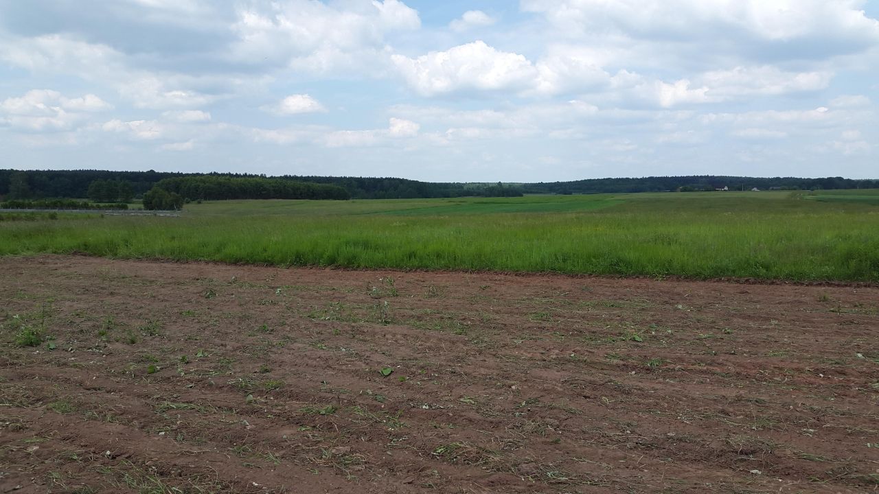 Działka rolno-budowlana Zabijak Wilczy Krzak, ul. Wiatrakowa. Zdjęcie 1