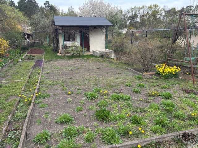 Działka rod Zielona Góra Stary Kisielin. Zdjęcie 1