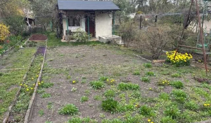 Działka rod Zielona Góra Stary Kisielin