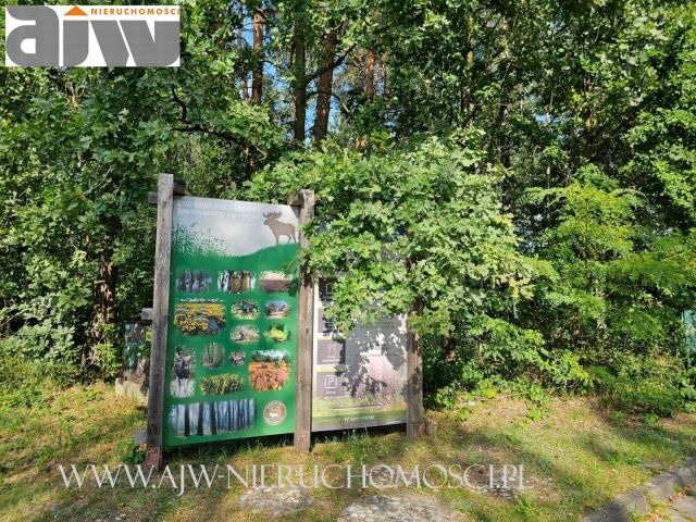 Działka budowlana Izabelin C. Zdjęcie 4