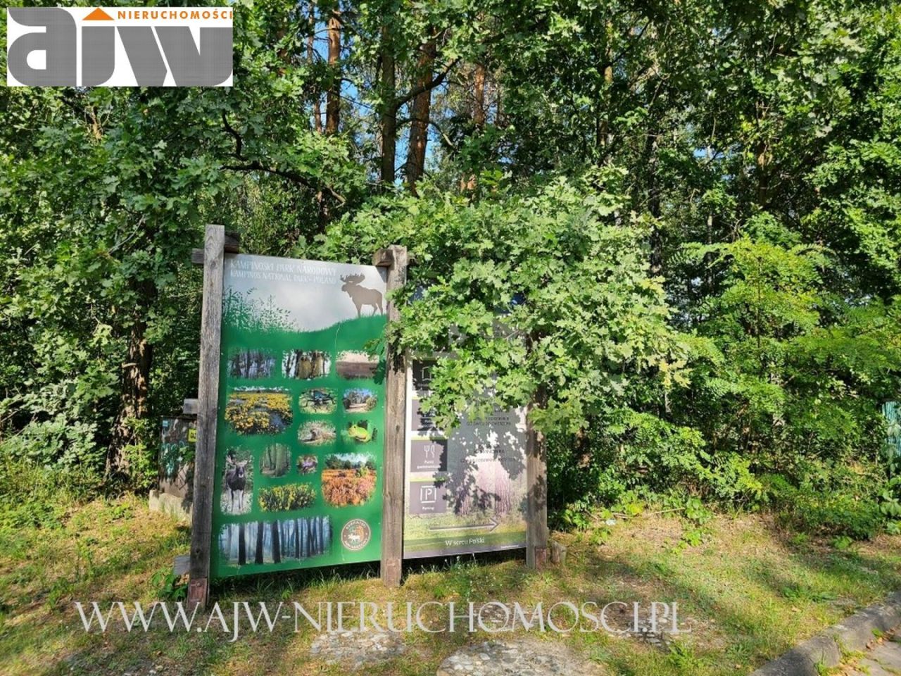 Działka budowlana Izabelin C. Zdjęcie 4