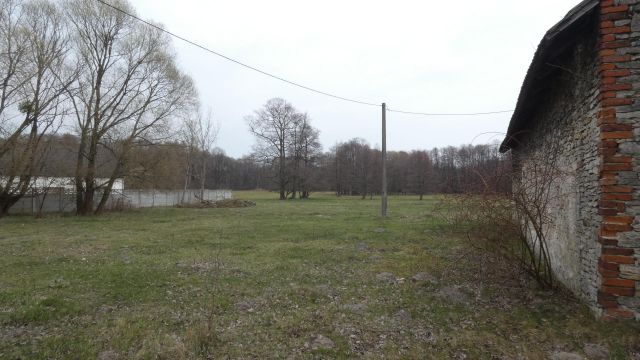 Działka rolno-budowlana Centawa, ul. Powstańców Śląskich. Zdjęcie 8