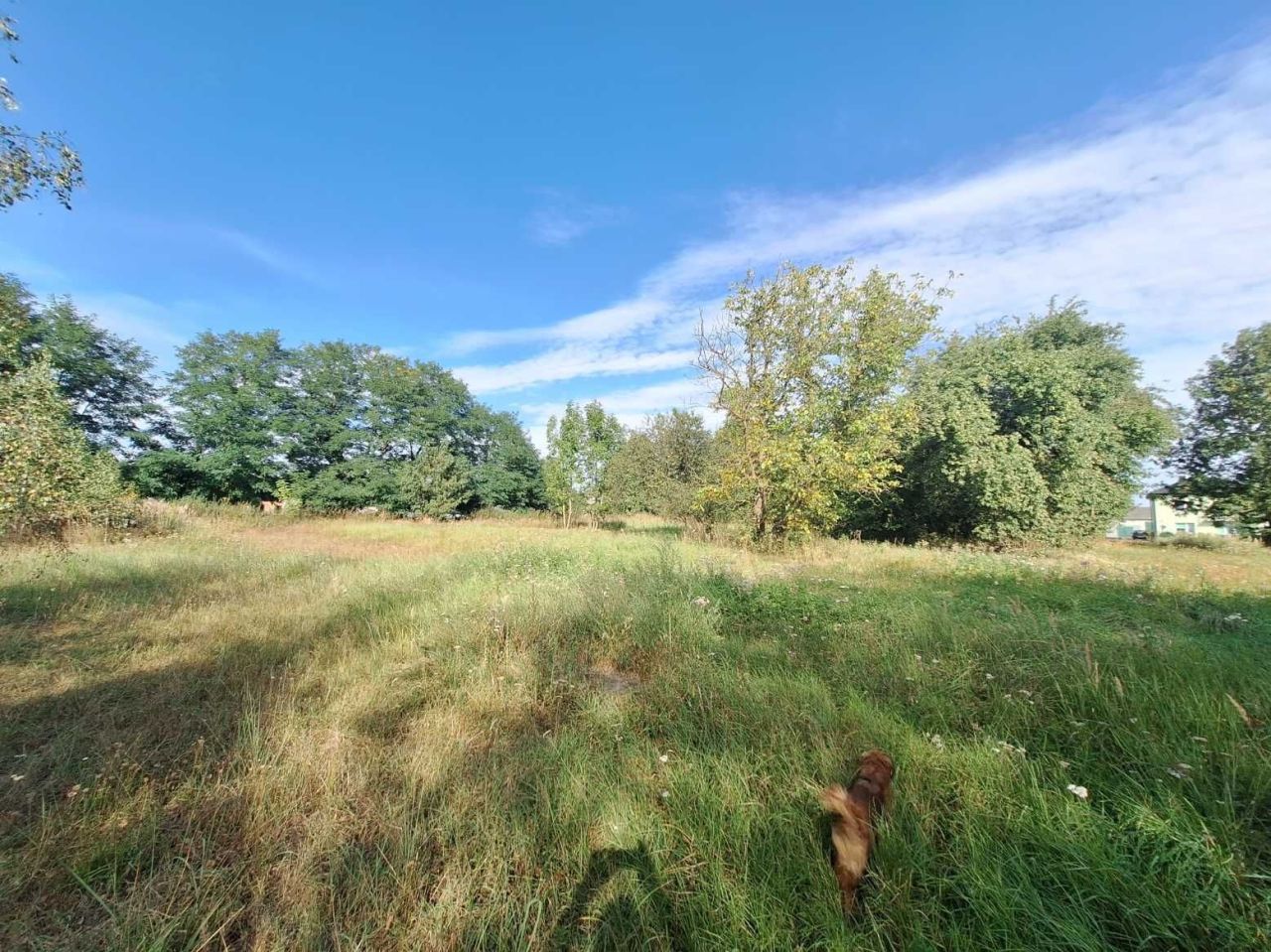 Działka rolno-budowlana Cyców-Kolonia Druga. Zdjęcie 7