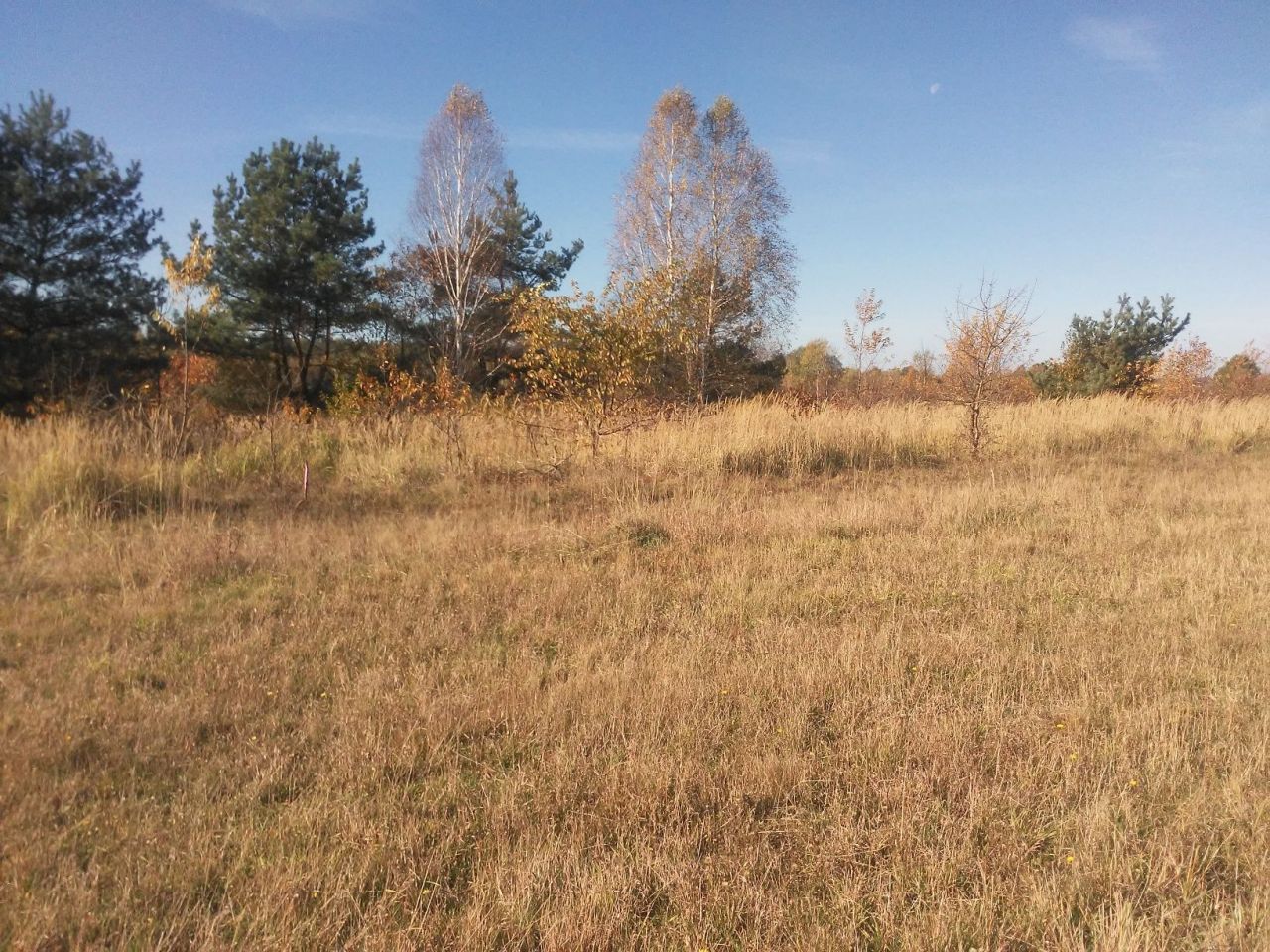 Działka budowlana Własna, ul. Wrzosowa