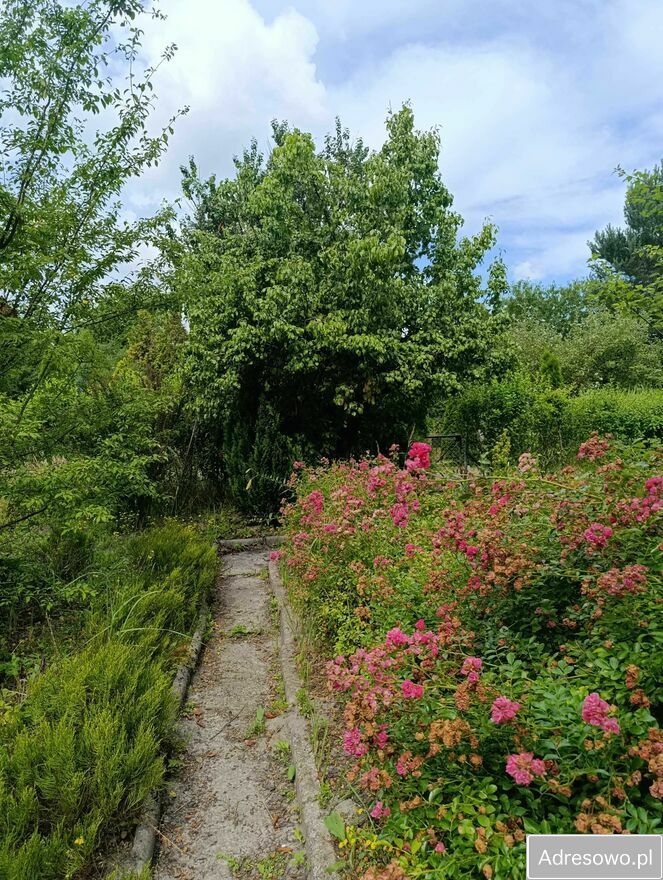 Działka rod Warszawa Włochy. Zdjęcie 7