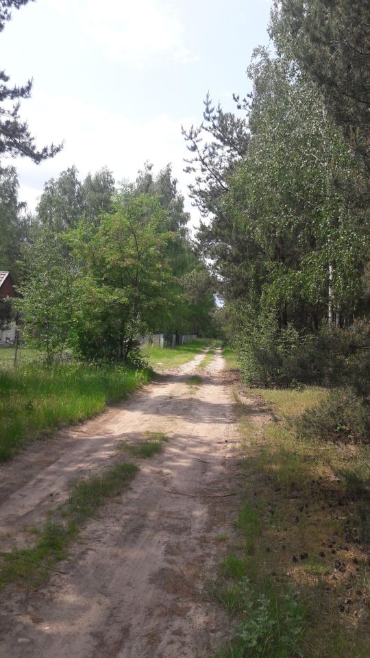 Działka budowlana Wodzierady, Leśna. Zdjęcie 4