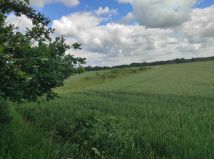 Działka rolna Szaszorowice. Zdjęcie 2