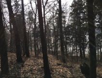 Działka budowlana Stare Miasto. Zdjęcie 4