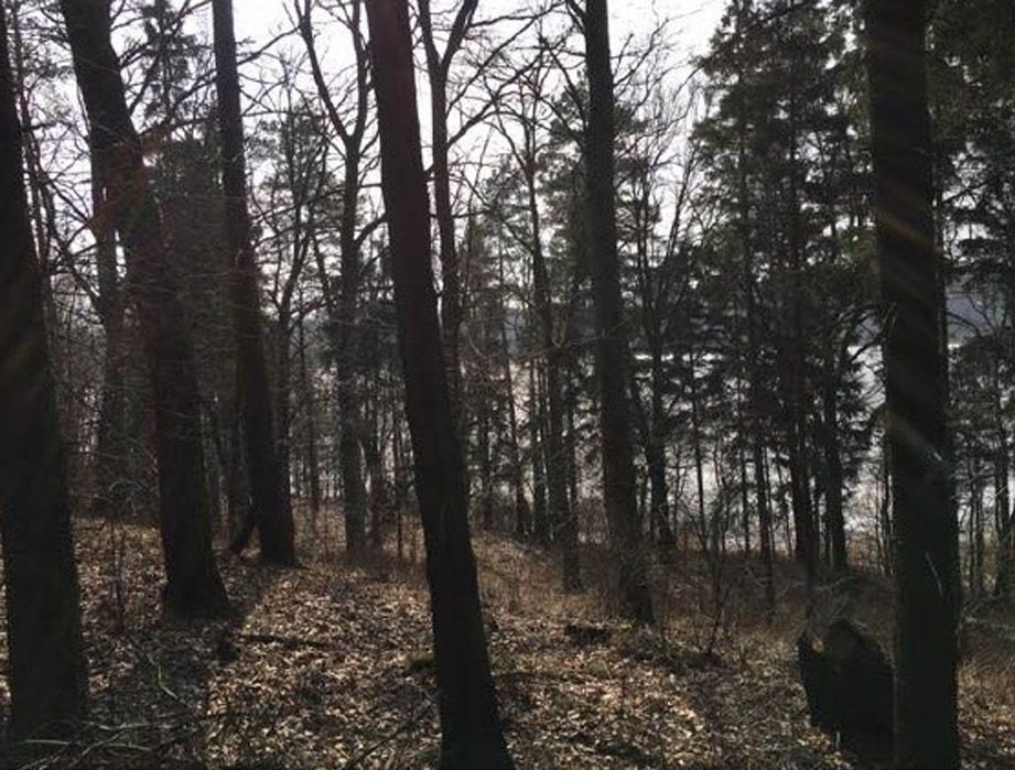 Działka budowlana Stare Miasto. Zdjęcie 5