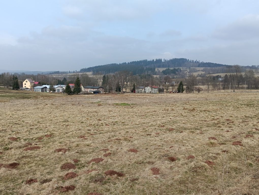 Działka budowlana Dworki. Zdjęcie 8