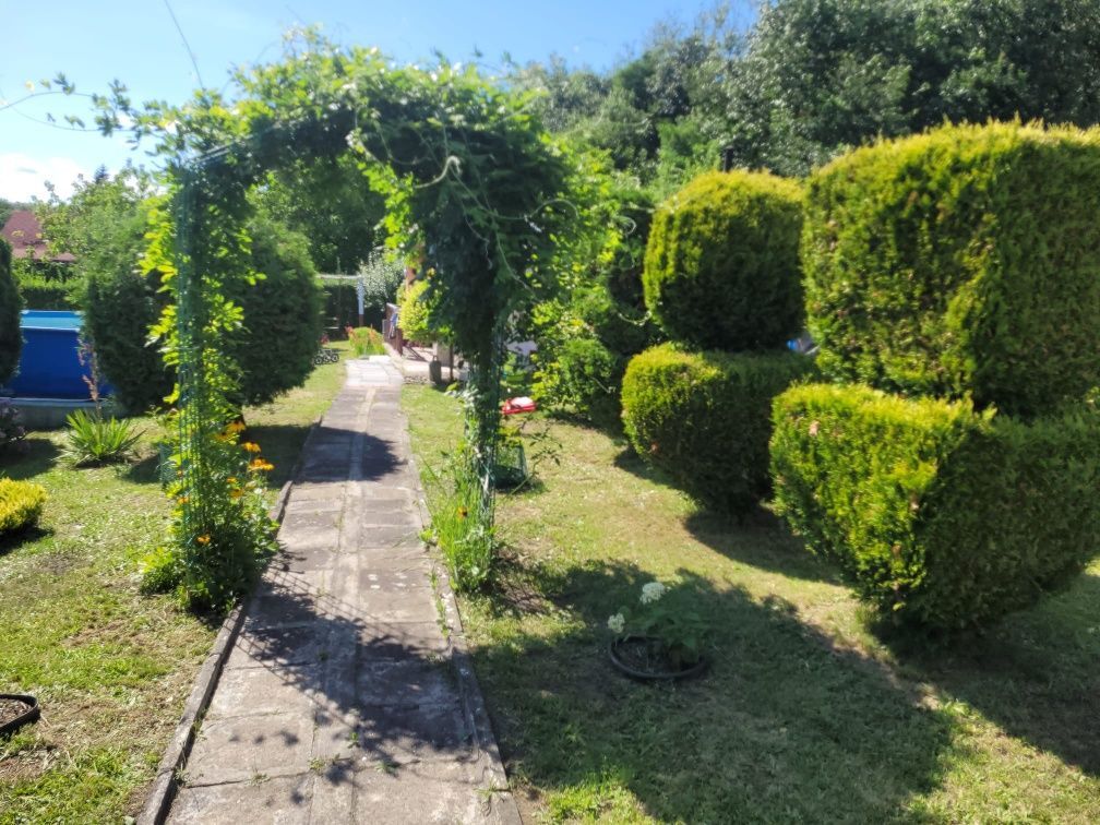 Działka rod Ruda Śląska Bielszowice. Zdjęcie 5