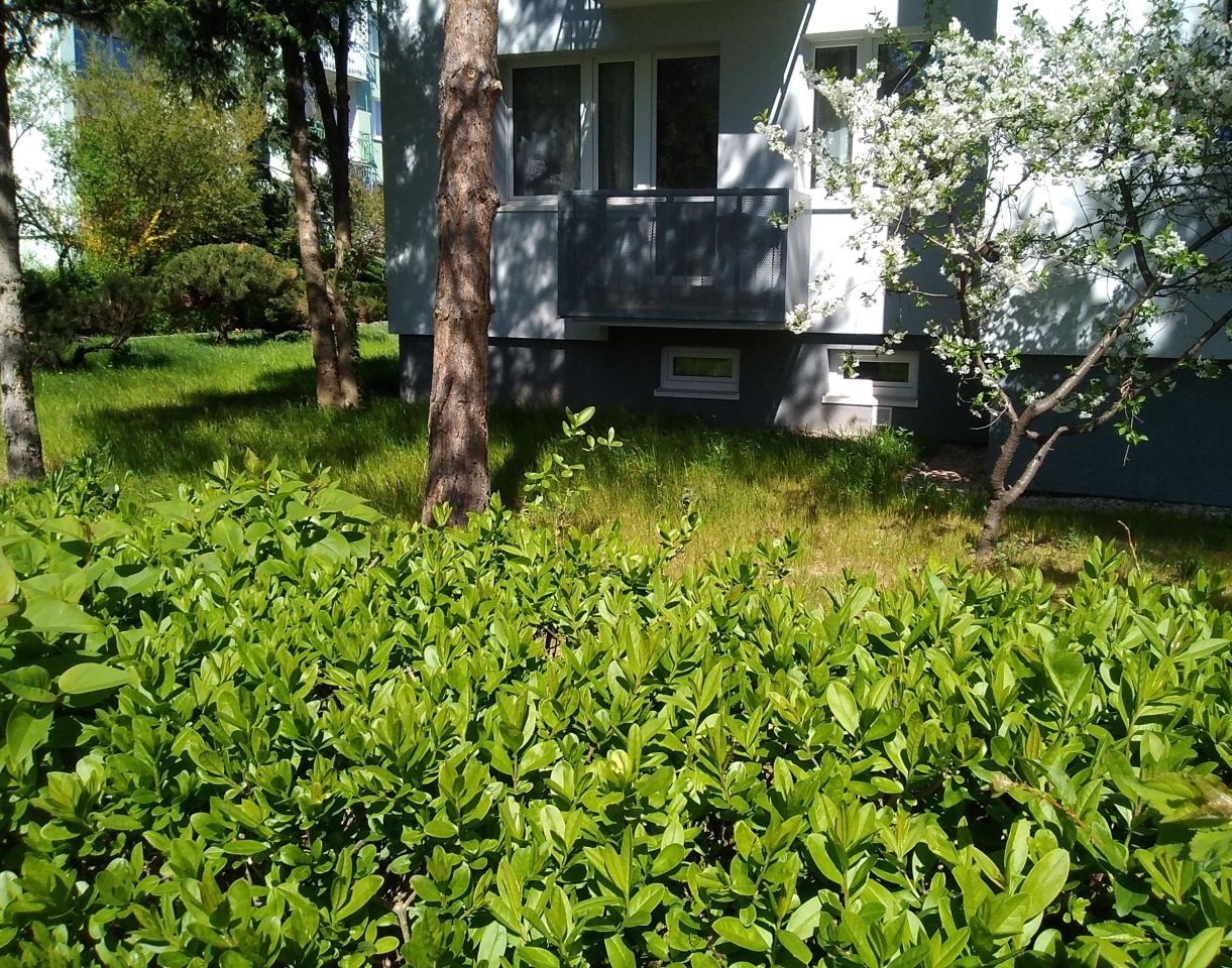 Mieszkanie 3-pokojowe Świdnica. Zdjęcie 21