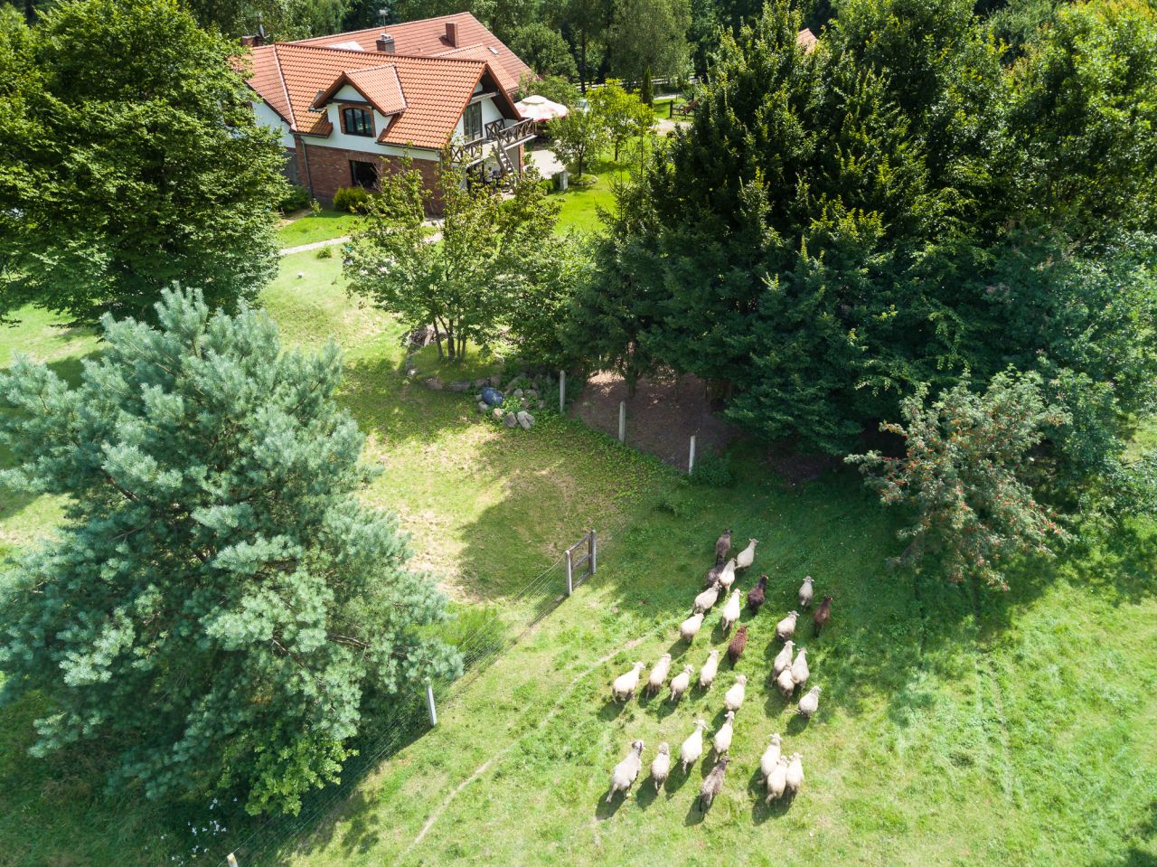 dom wolnostojący, 10 pokoi Gronowo. Zdjęcie 15