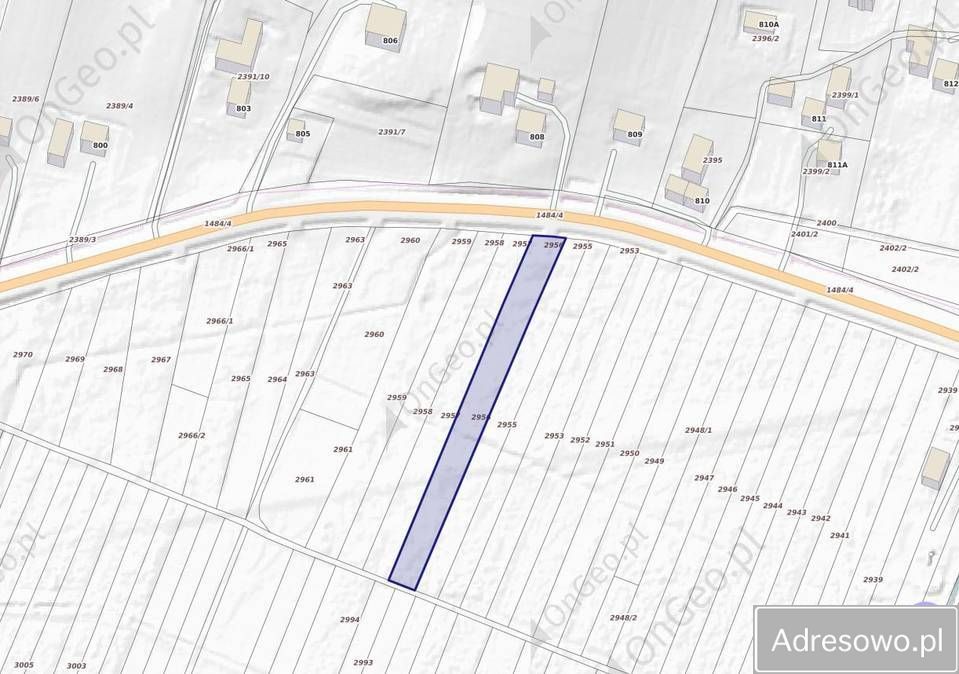 Działka rolna Lutcza. Zdjęcie 2