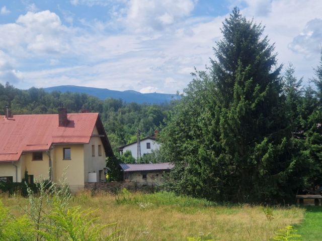 Działka inwestycyjna Sosnówka, ul. Liczyrzepy. Zdjęcie 7