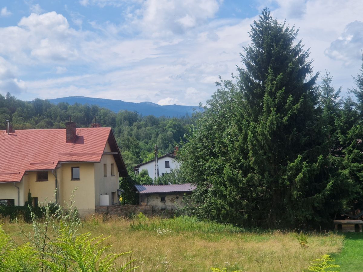 Działka inwestycyjna Sosnówka, ul. Liczyrzepy. Zdjęcie 7