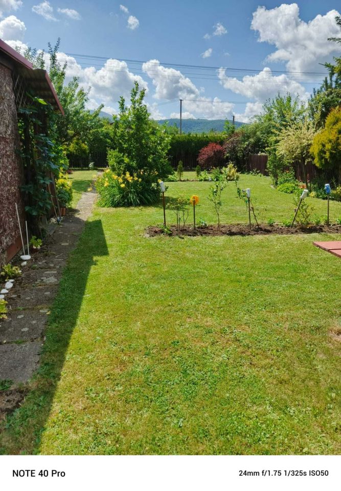 Działka rod Bielsko-Biała, ul. Działowa. Zdjęcie 2