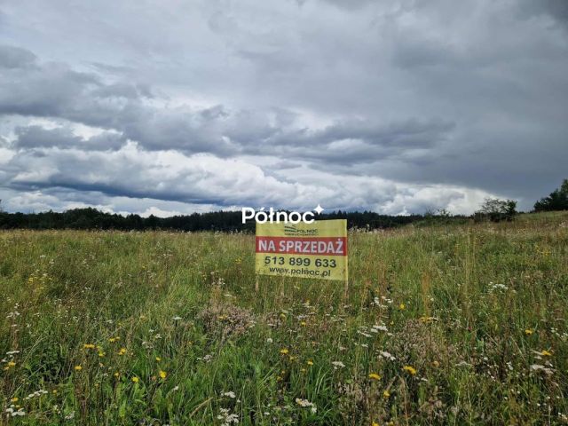 Działka budowlana Płociczno. Zdjęcie 8