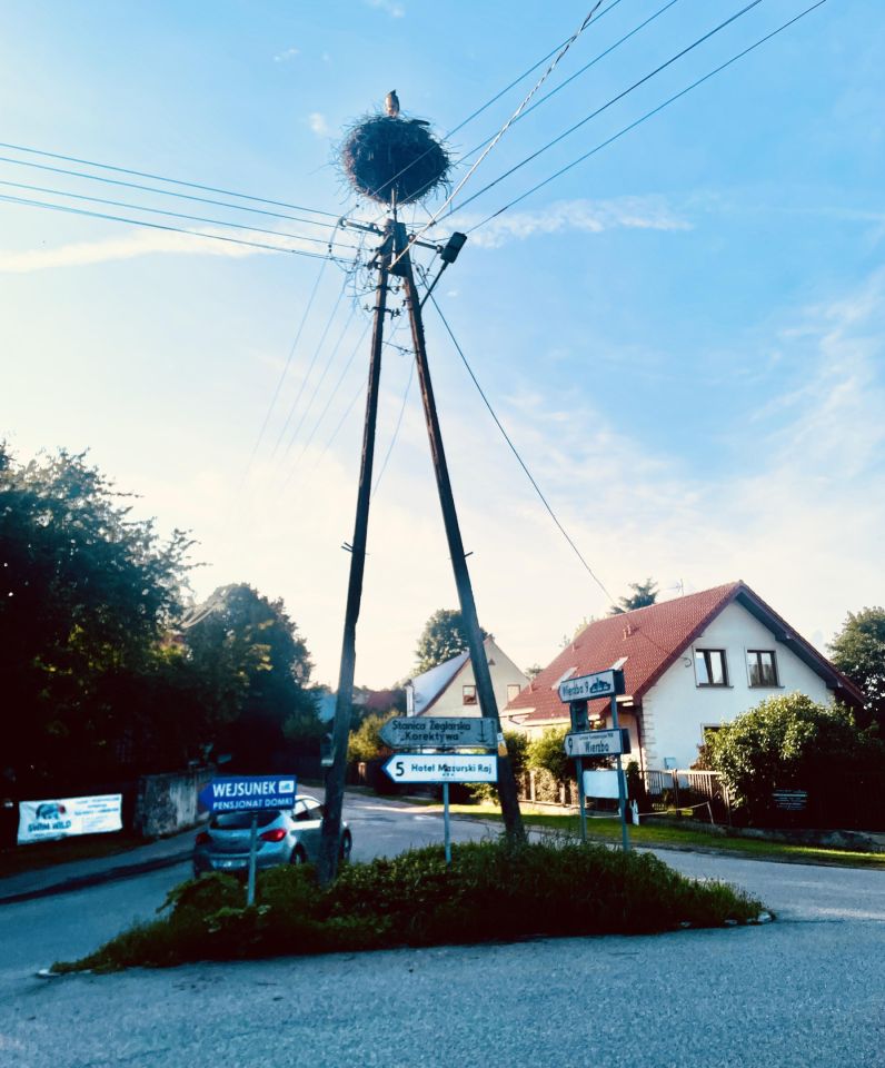 Działka budowlana Wejsuny. Zdjęcie 13