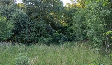 Działka rolno-budowlana Bełchatów Grocholice, ul. gen. Ludwika Czyżewskiego