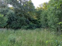 Działka rolno-budowlana Bełchatów Grocholice, ul. gen. Ludwika Czyżewskiego. Zdjęcie 1