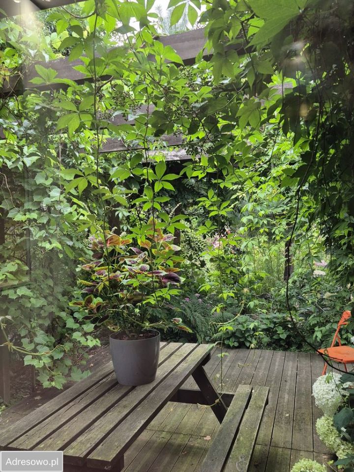 dom wolnostojący, 3 pokoje Poćwiardówka. Zdjęcie 8