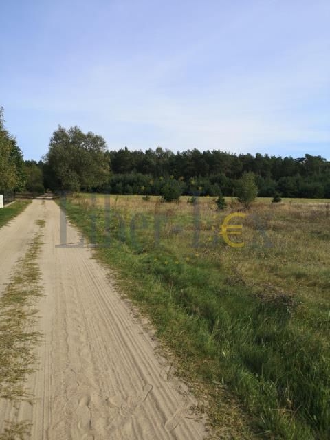 Działka rolna Szumlin. Zdjęcie 5