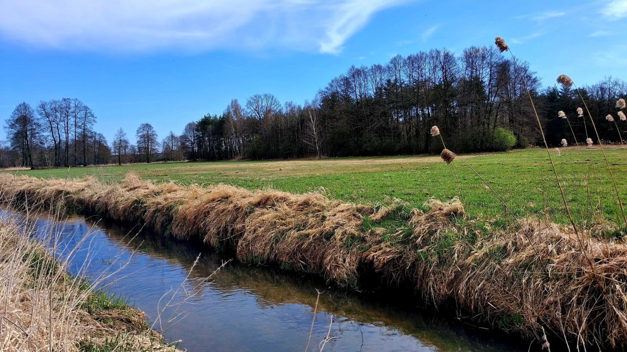 Działka budowlana Wólka. Zdjęcie 2