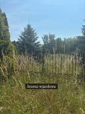 Działka rolno-budowlana Żagliny. Zdjęcie 2