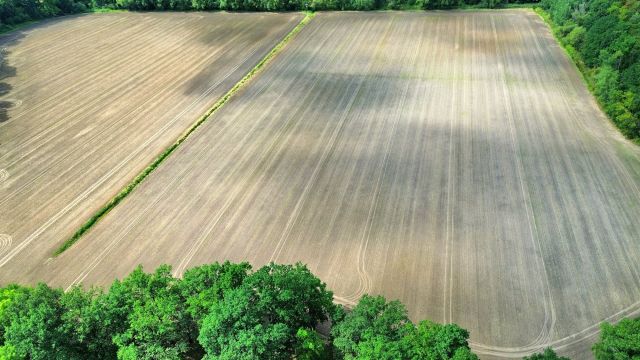 Działka rolna Krasków. Zdjęcie 5