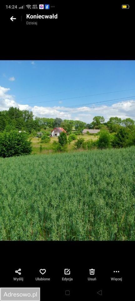 Działka rolna Koniecwałd. Zdjęcie 5