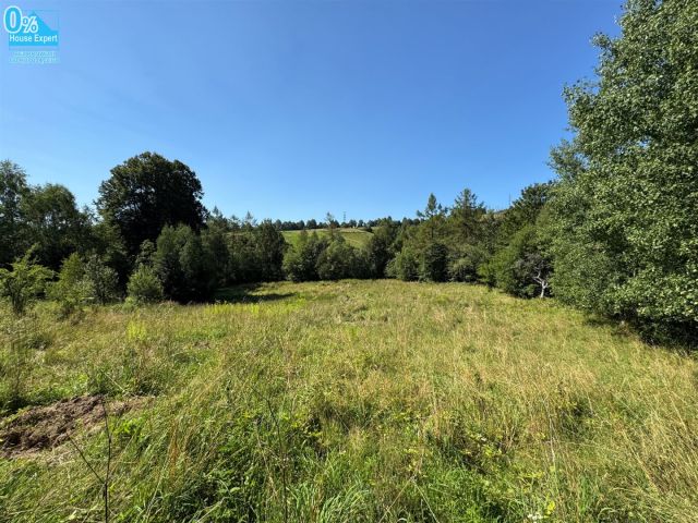 Działka budowlana Złockie. Zdjęcie 1