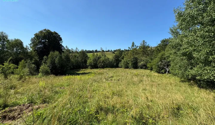 Działka budowlana Złockie