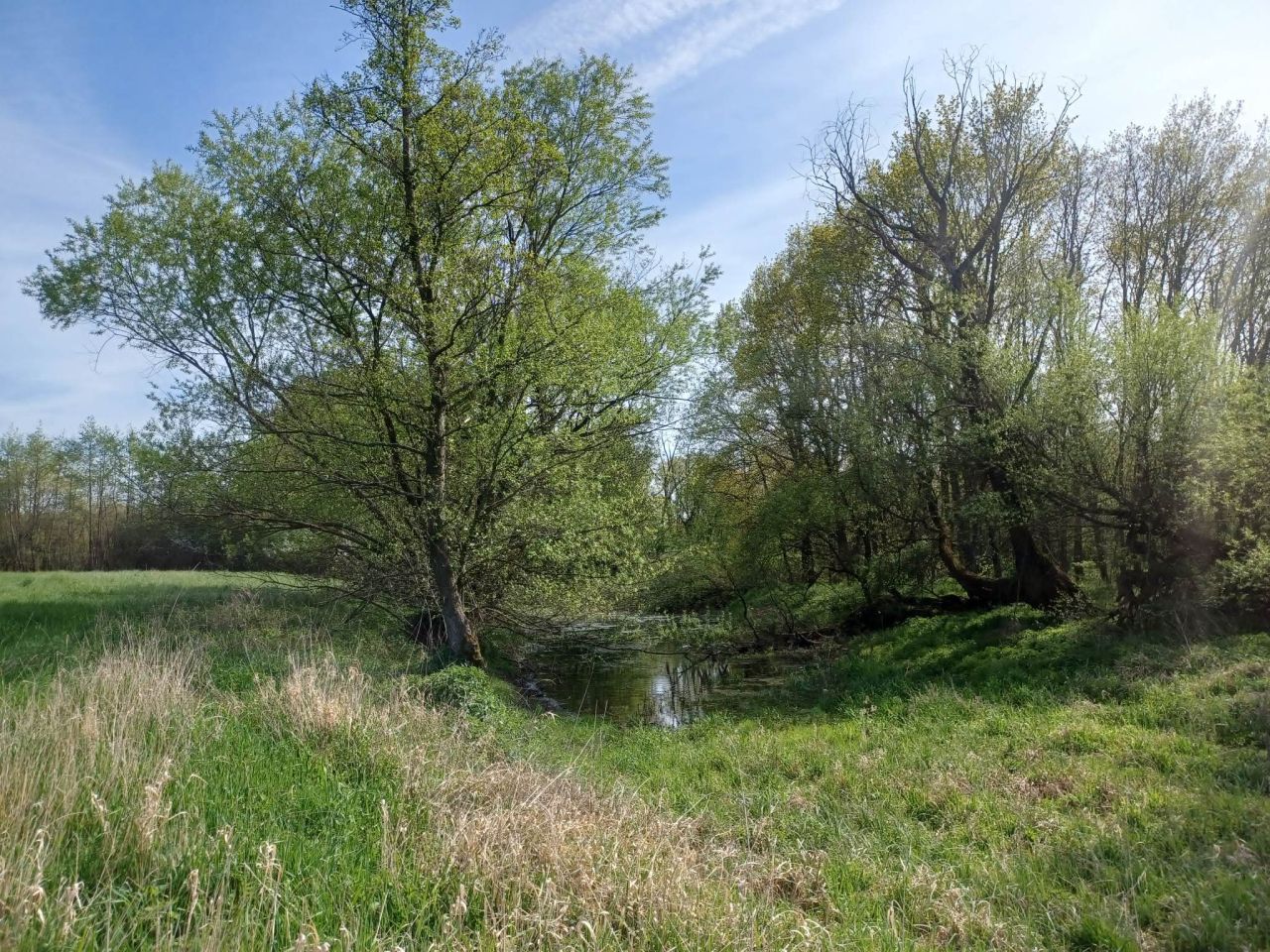 Działka rolna Gliniany. Zdjęcie 2